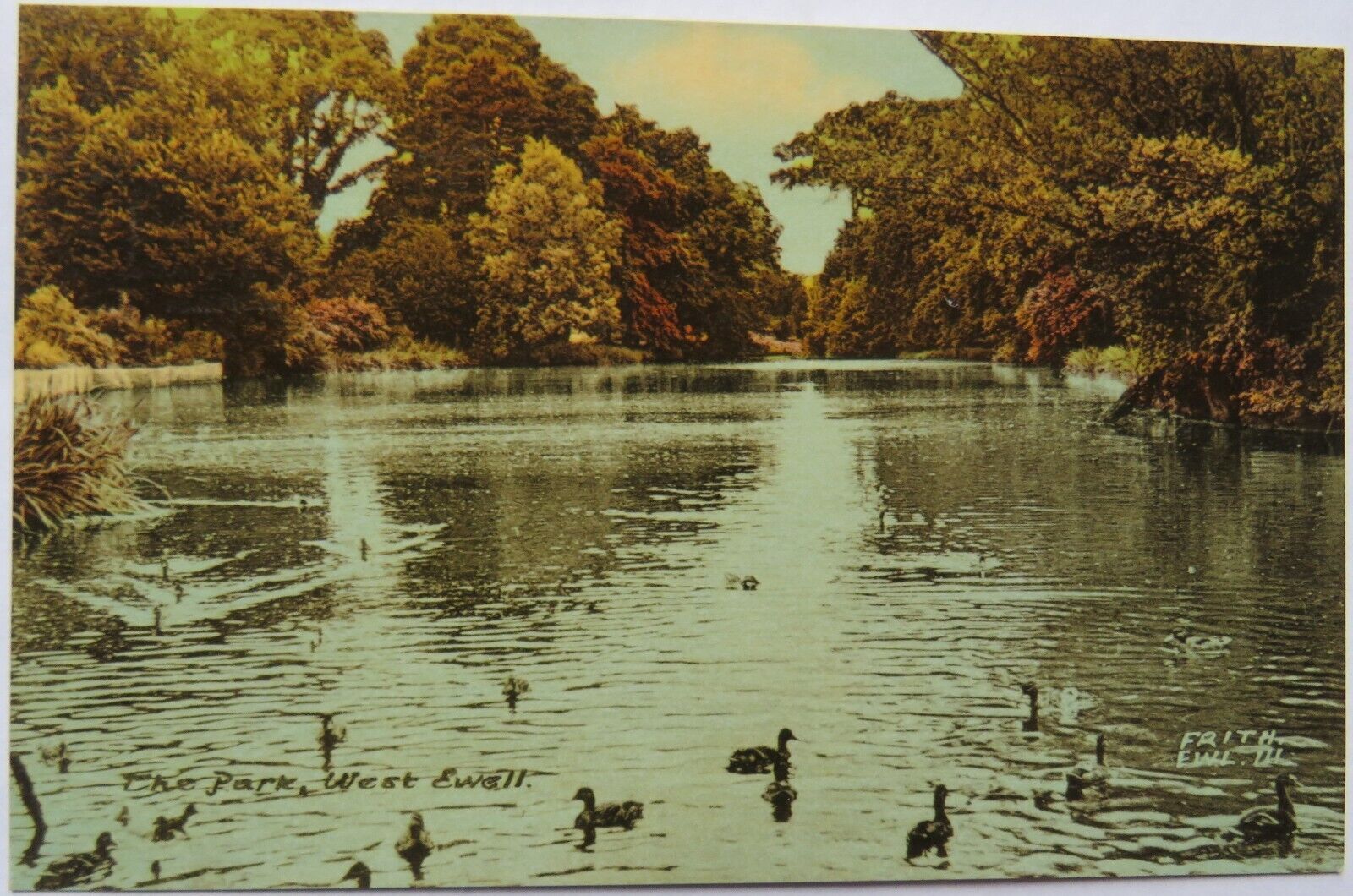 Vintage Postcard of The Park, West Ewell