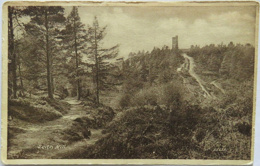 Old Postcard of Leith Hill - Ref : 1009