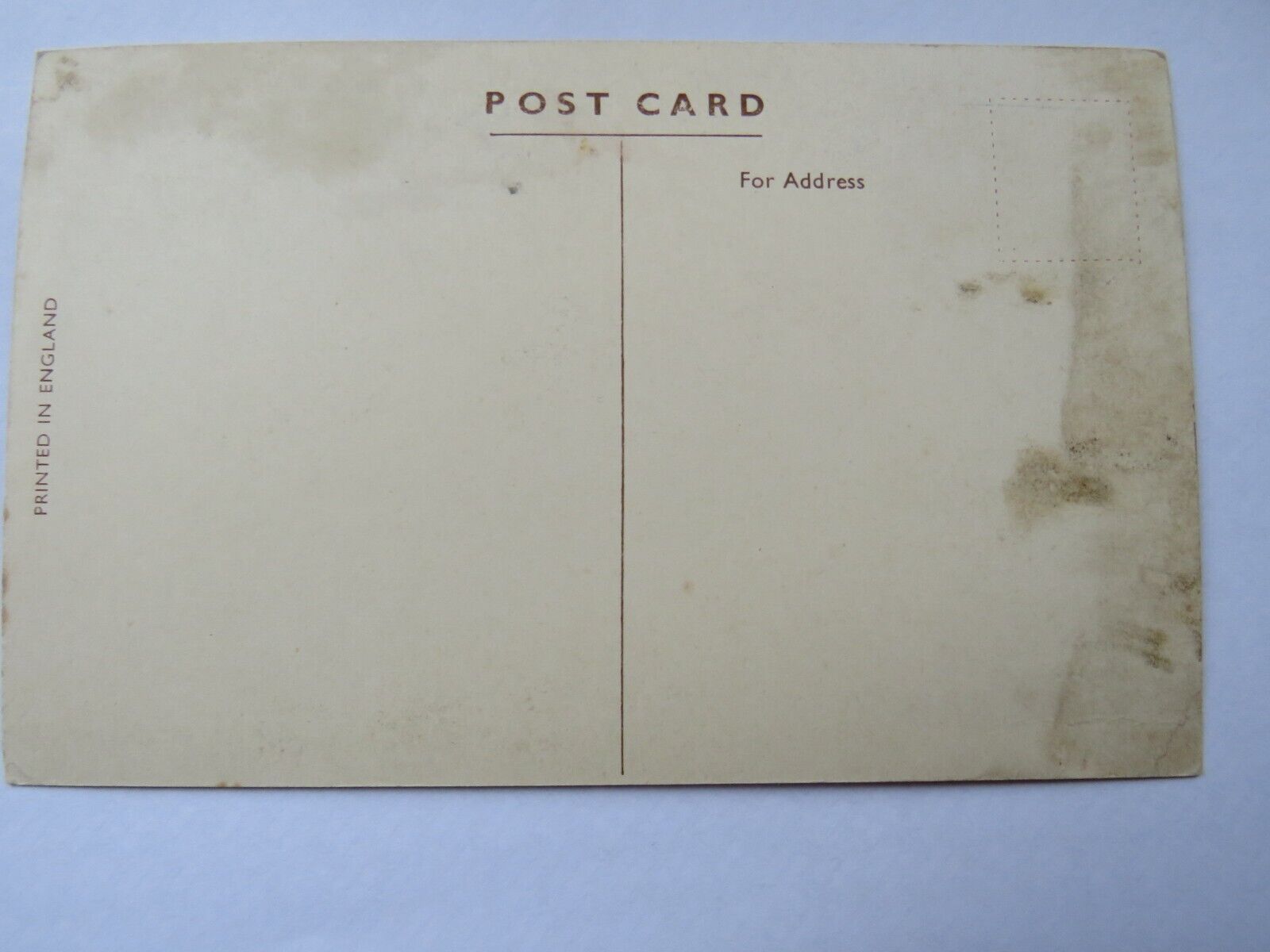 Old Postcard of Anchor Line T.S.S. Caledonia