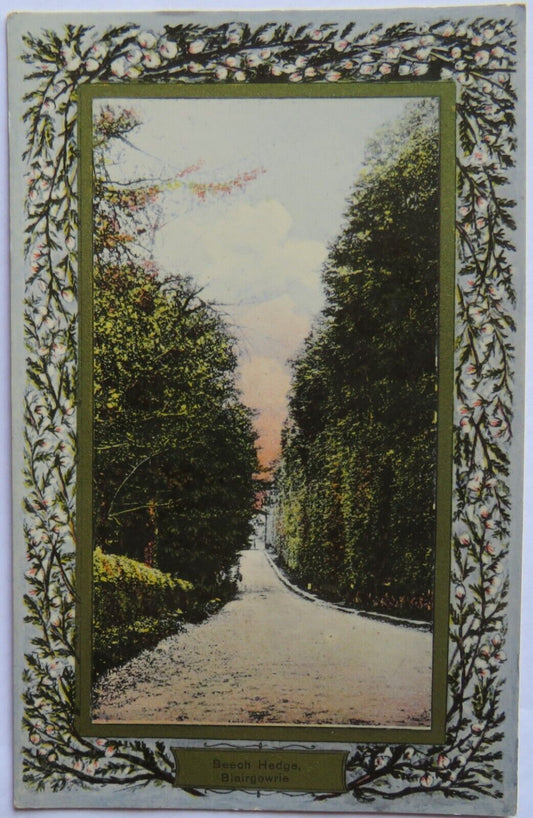 Old Postcard of Beech Hedge Blairgowrie, Perthshire