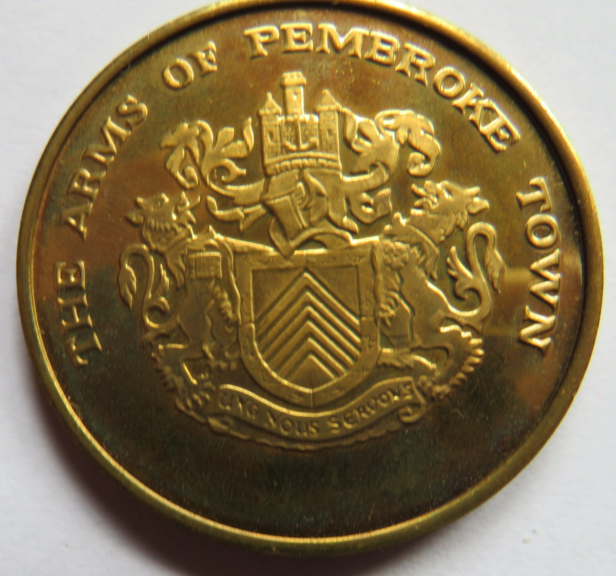 1485-1509 Henry Tudor Earl of Richmond - Henry VII Commemorative Coin / Medal Pembroke Coat of Arms