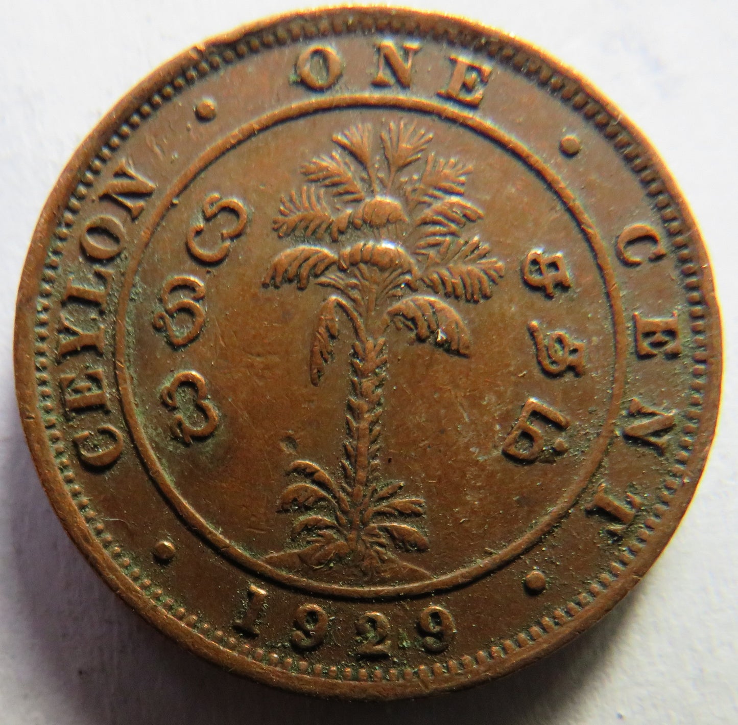 1929 King George V Ceylon One Cent Coin