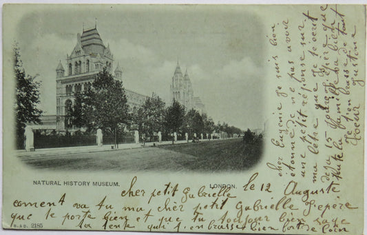 Vintage Postcard of View of The Natural History Museum 1933