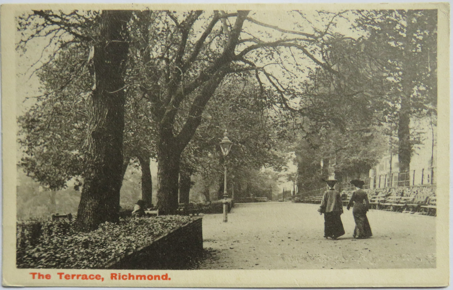 Vintage Postcard of The Terrace, Richmond 1905