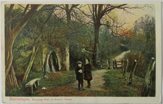 Vintage Postcard of Barnstaple, Dripping Well at Anchor Wood