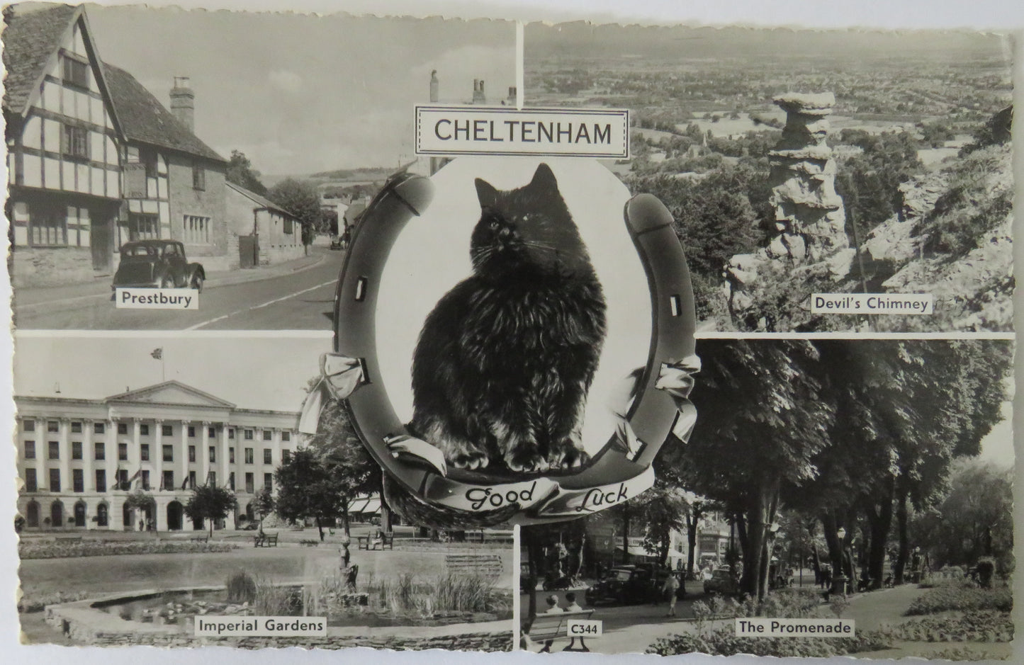 Vintage Multiview Postcard of Cheltenham, Good Luck, 1962