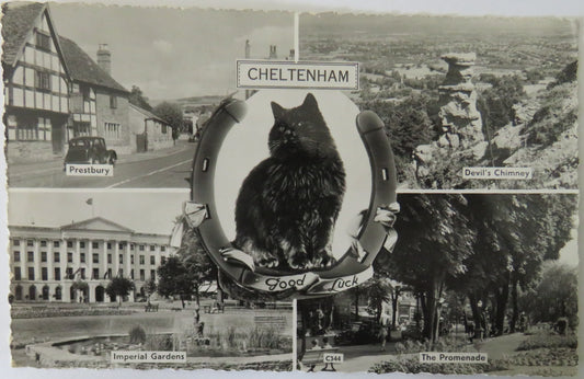 Vintage Multiview Postcard of Cheltenham, Good Luck, 1962