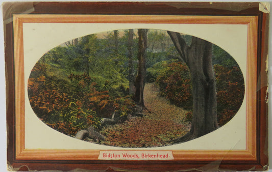 Vintage Postcard of Bidston Woods, Birkenhead, 1909
