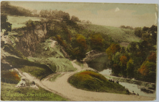 Vintage Postcard of Ludlow, The Whitcliff
