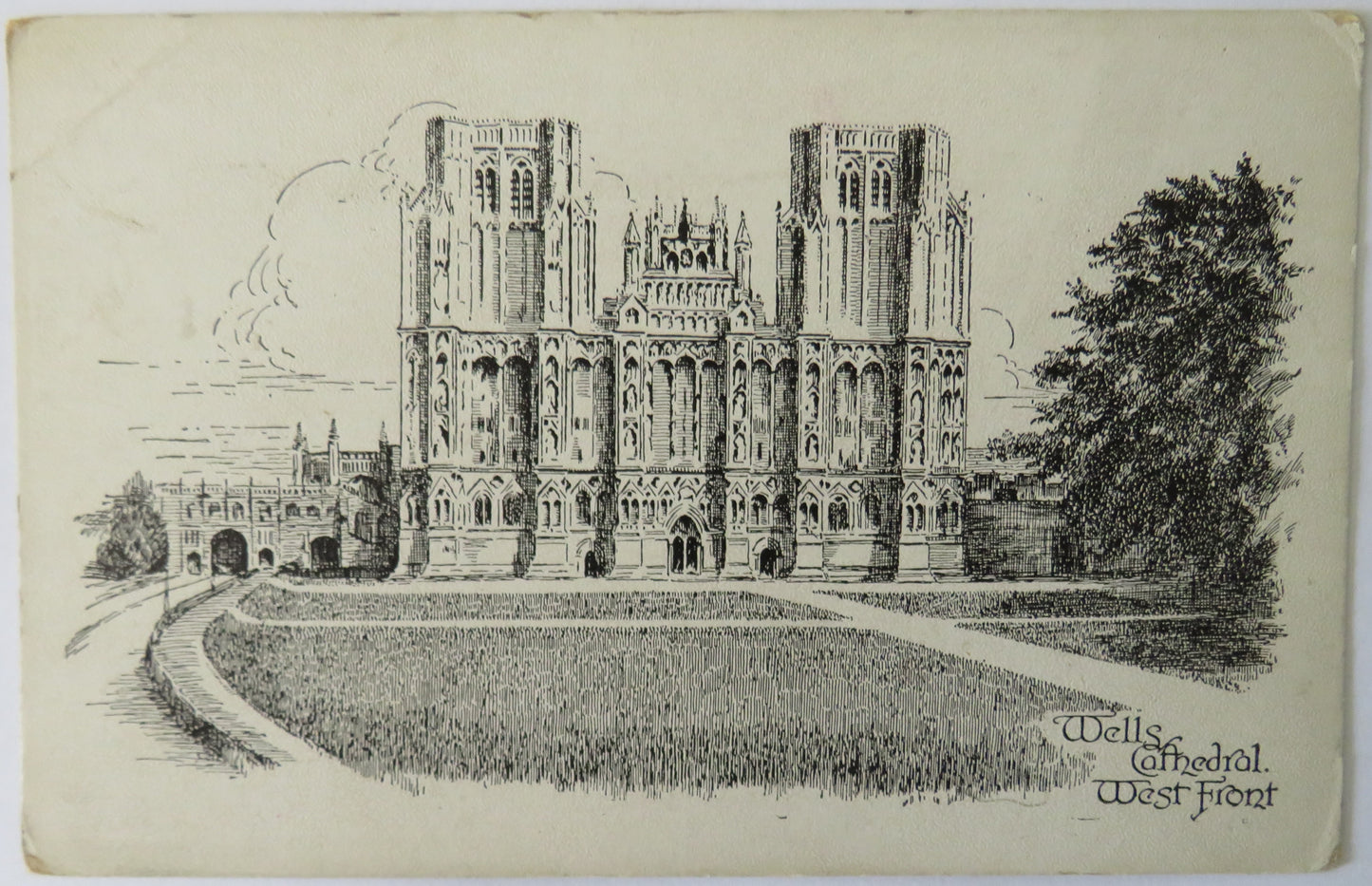 Vintage Postcard of Wells Cathedral, West Front