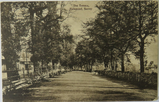 Vintage Postcard of The Terrace, Richmond, Surrey