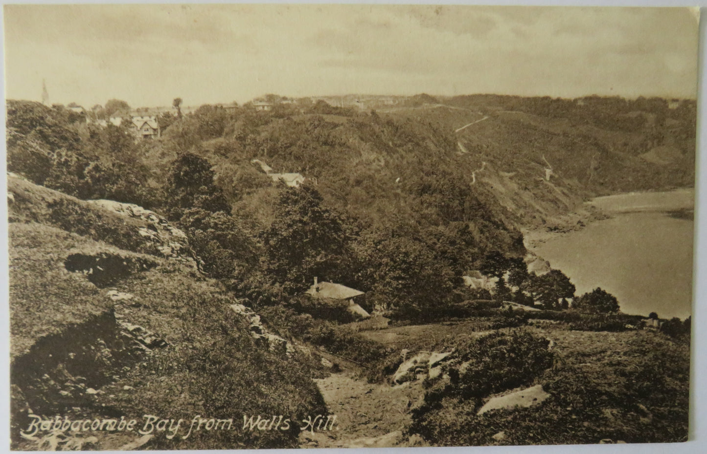 Vintage Postcard of Babbacombe Bay from Walls Hill