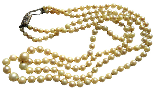 Vintage Double Strand Ladies Necklace of Cultural Pearls With Silver Clasp