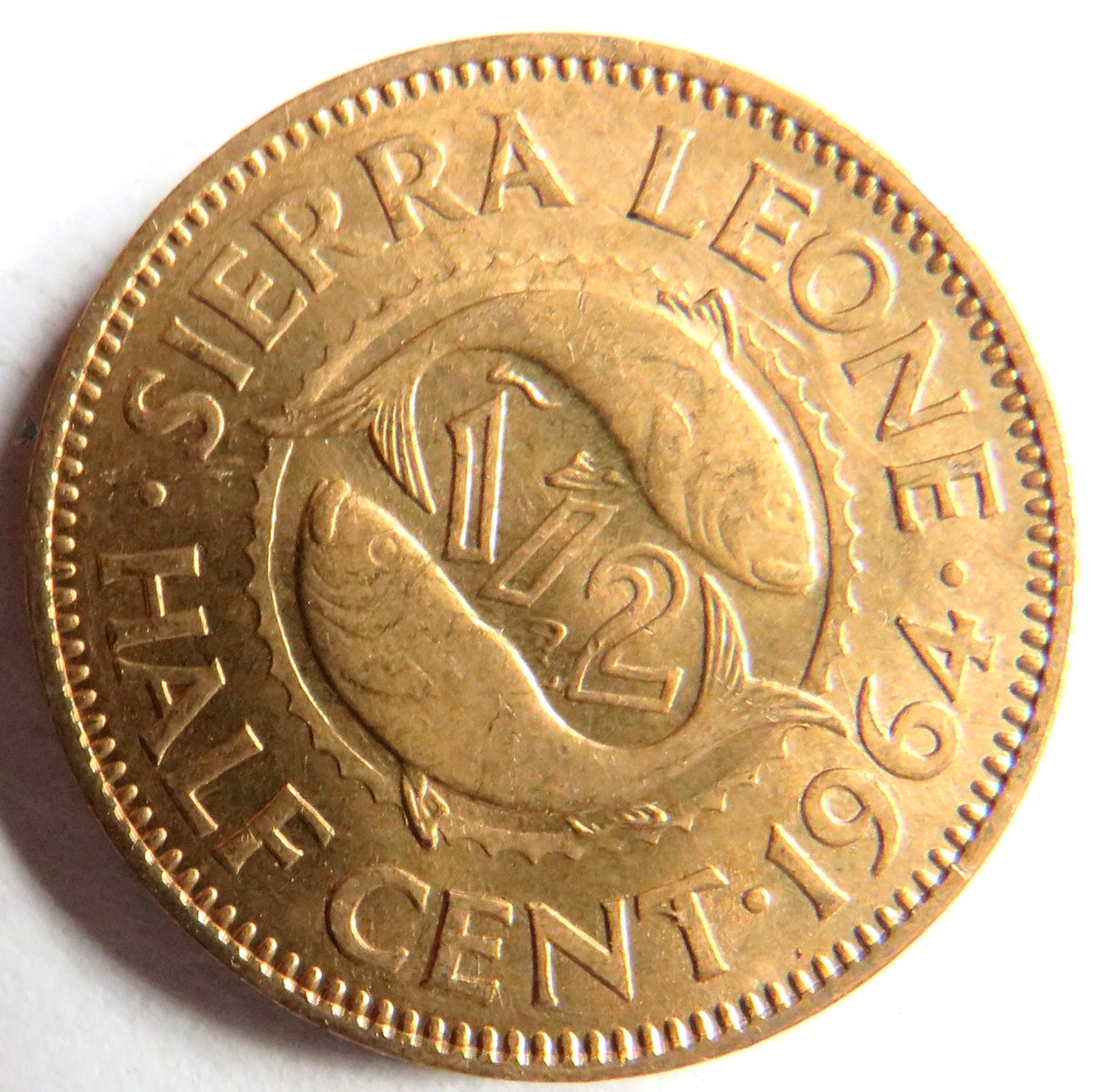 1964 Sierra Leone Half 1/2 Cent Coin Unc