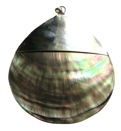 Large Ladies Shell & Silver Pendant