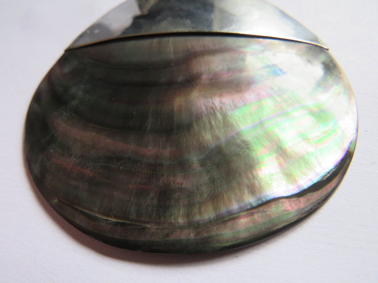 Large Ladies Shell & Silver Pendant