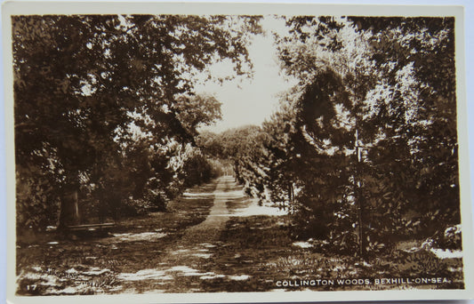 Vintage Postcard of Collington Woods, Bexhill-On-Sea