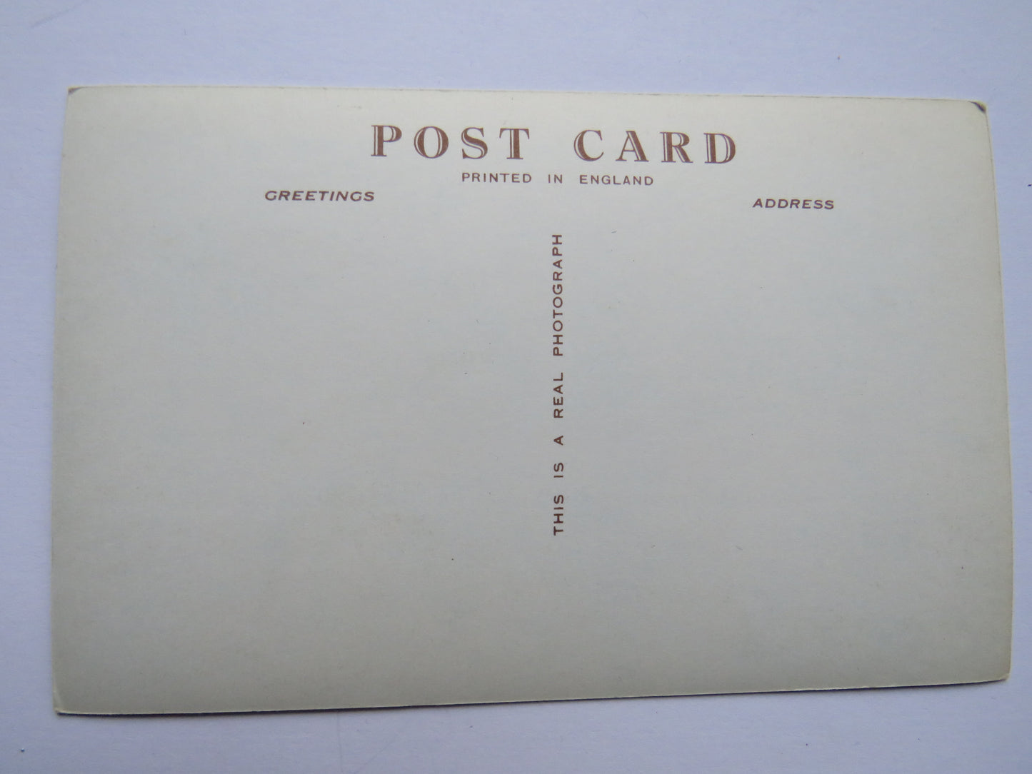 Vintage Postcard of Collington Woods, Bexhill-On-Sea