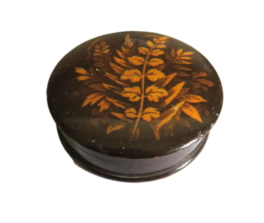 Antique Mauchline Fern Ware Pill / Trinket Box