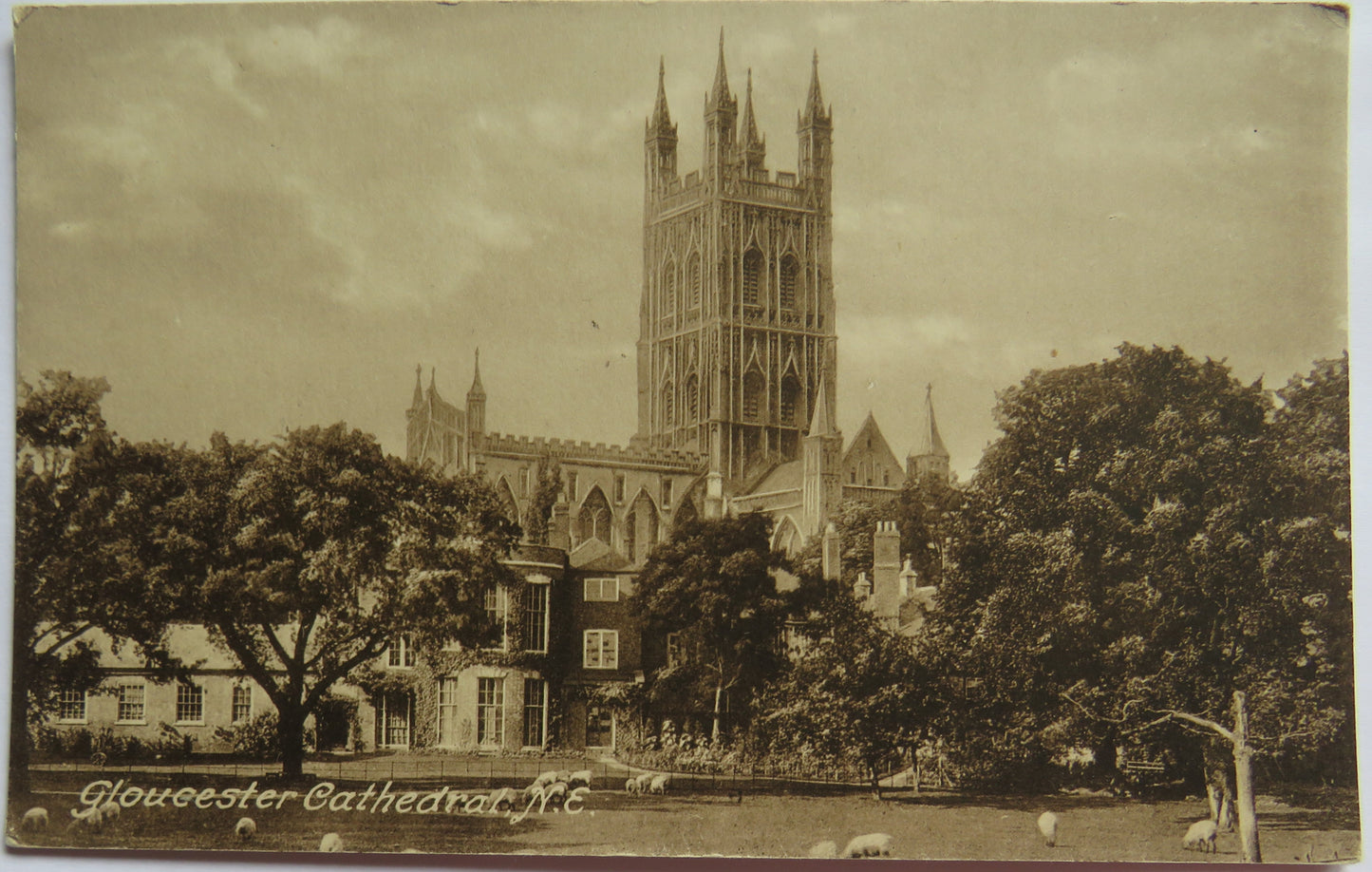 Vintage Postcard of Gloucester Cathedral, N.E