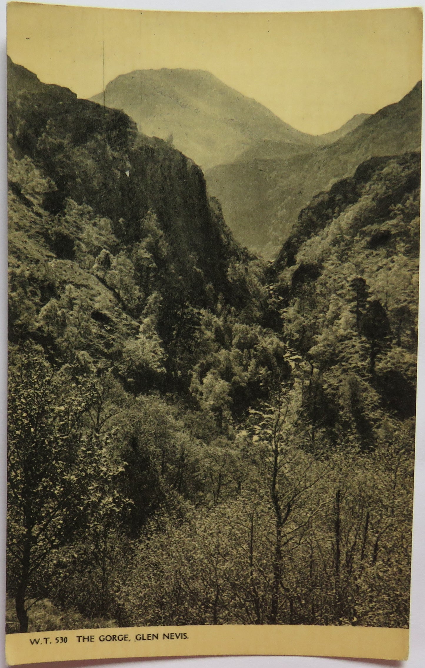 Vintage Postcard of The Gorge, Glen Nevis