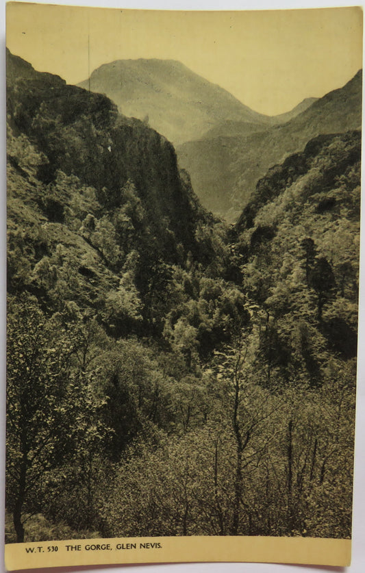 Vintage Postcard of The Gorge, Glen Nevis