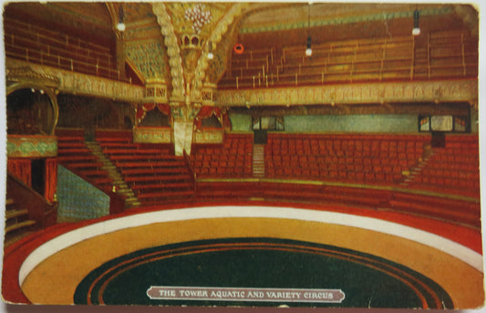 Vintage Postcard of The Tower Aquatic and Variety Circus Blackpool