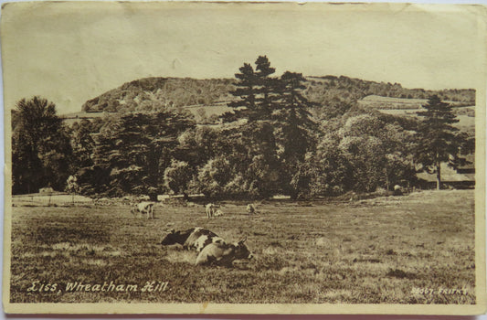 Vintage Postcard of Liss, Wheatham Hill 1949