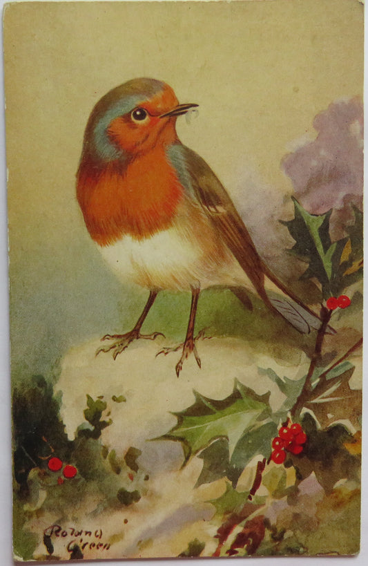 Vintage Bird Postcard of a "Robbin"