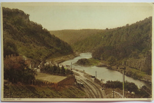 Vintage Postcard of Symonds Yat