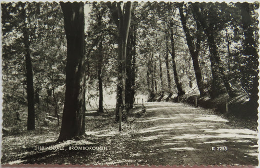 Vintage Postcard of Dibbinsdale, Bromborough