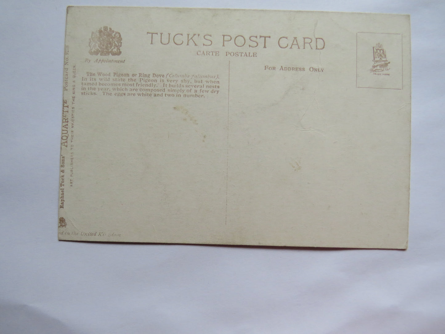 Vintage Postcard of a "Wood Pigeon" Aquarette Raphael Tuck & Sons