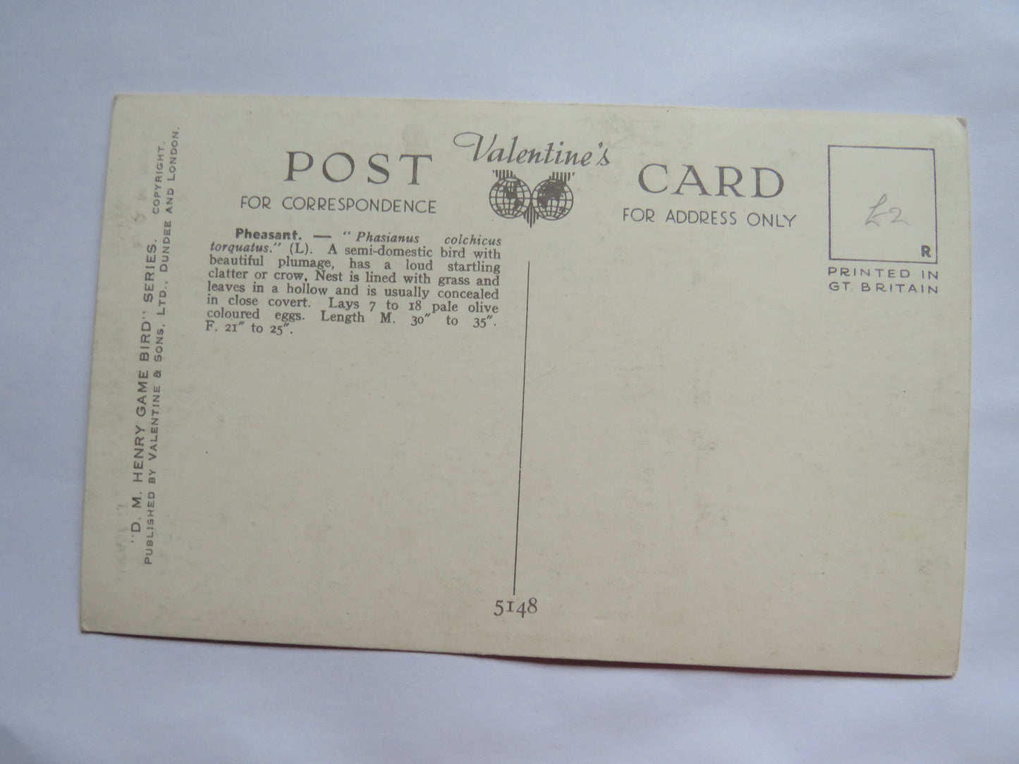 Vintage Postcard of a "Pheasant" By D.M. Henry Game Bird Series Valentine &amp; Sons