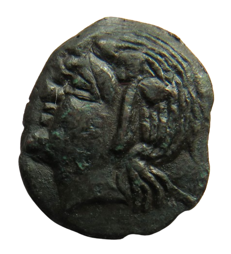 Ancient Greek City Panticapaeum "ΠAN"Reverse Coin
