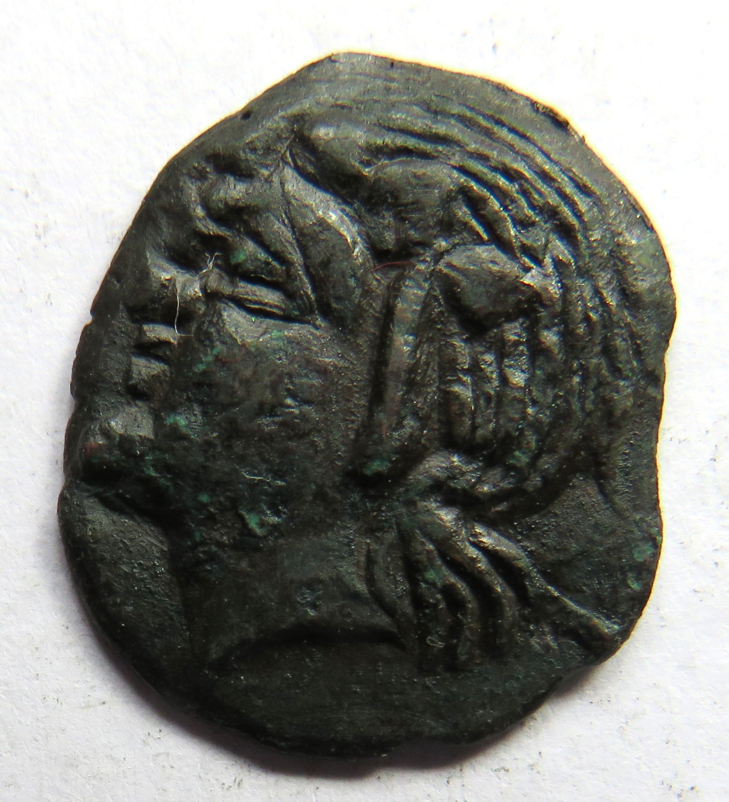 Ancient Greek City Panticapaeum "ΠAN"Reverse Coin