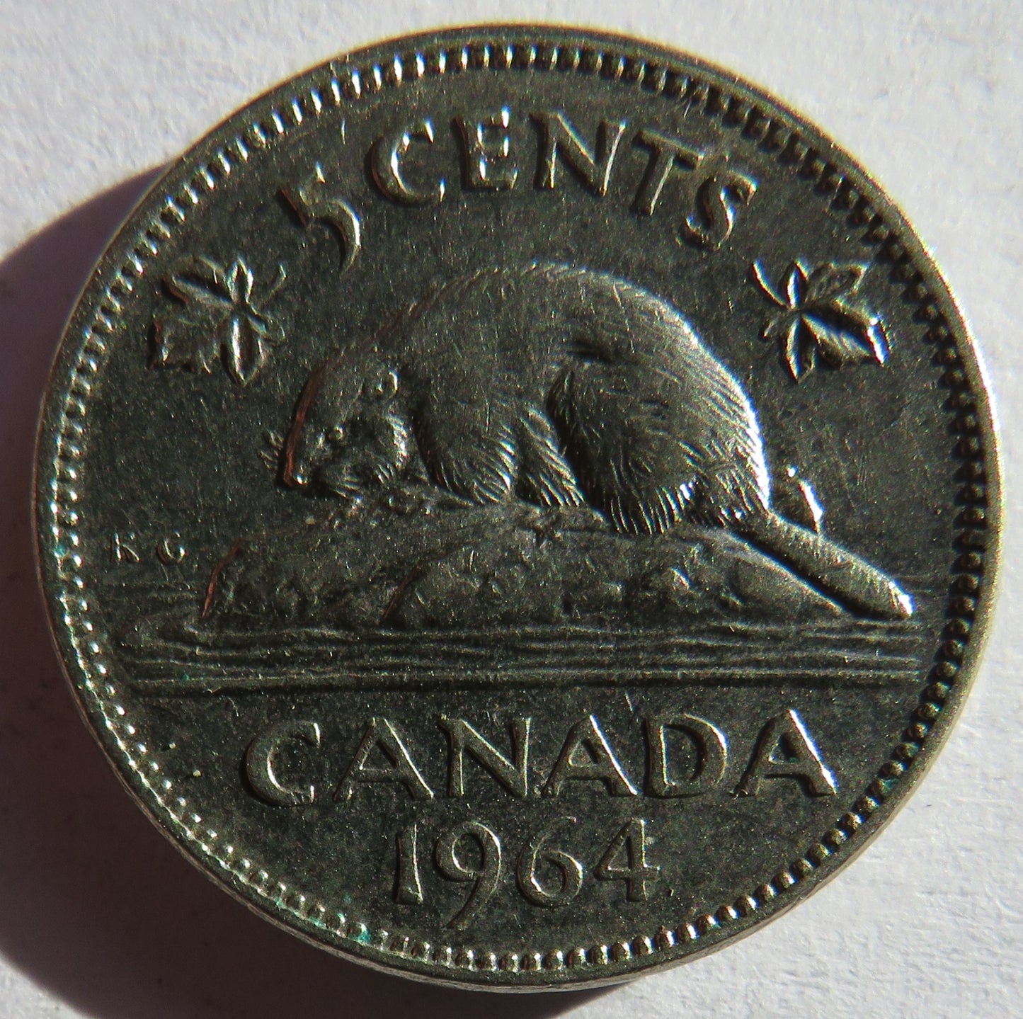 1964 Queen Elizabeth II Canada 5 Cents Coin