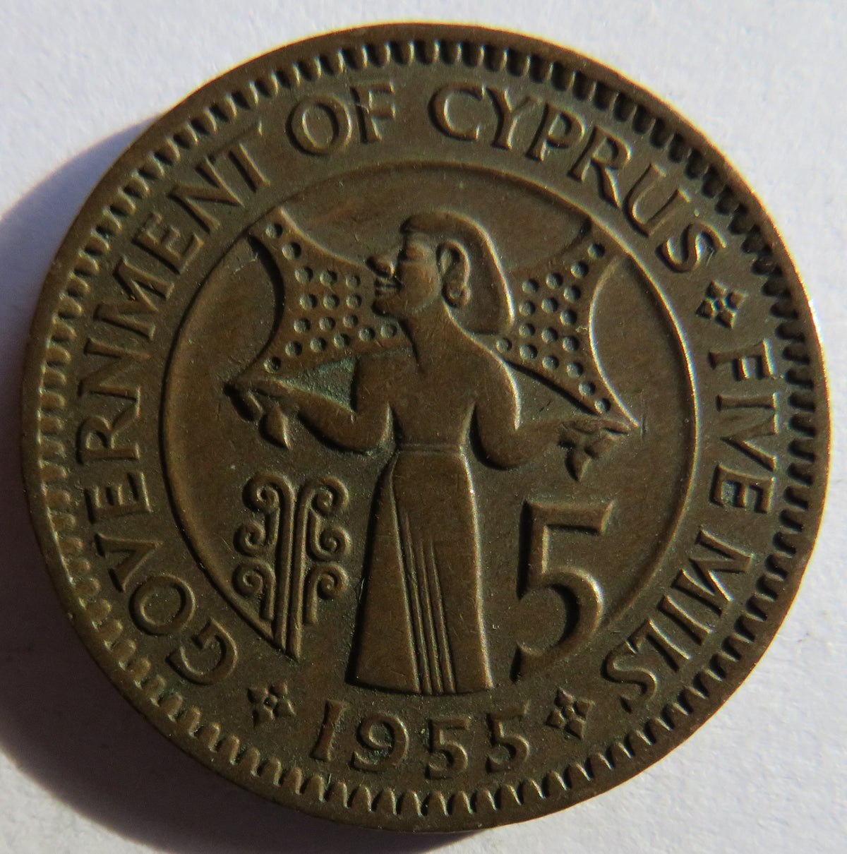 1955 Queen Elizabeth II Cyprus 5 Mils Coin image 2