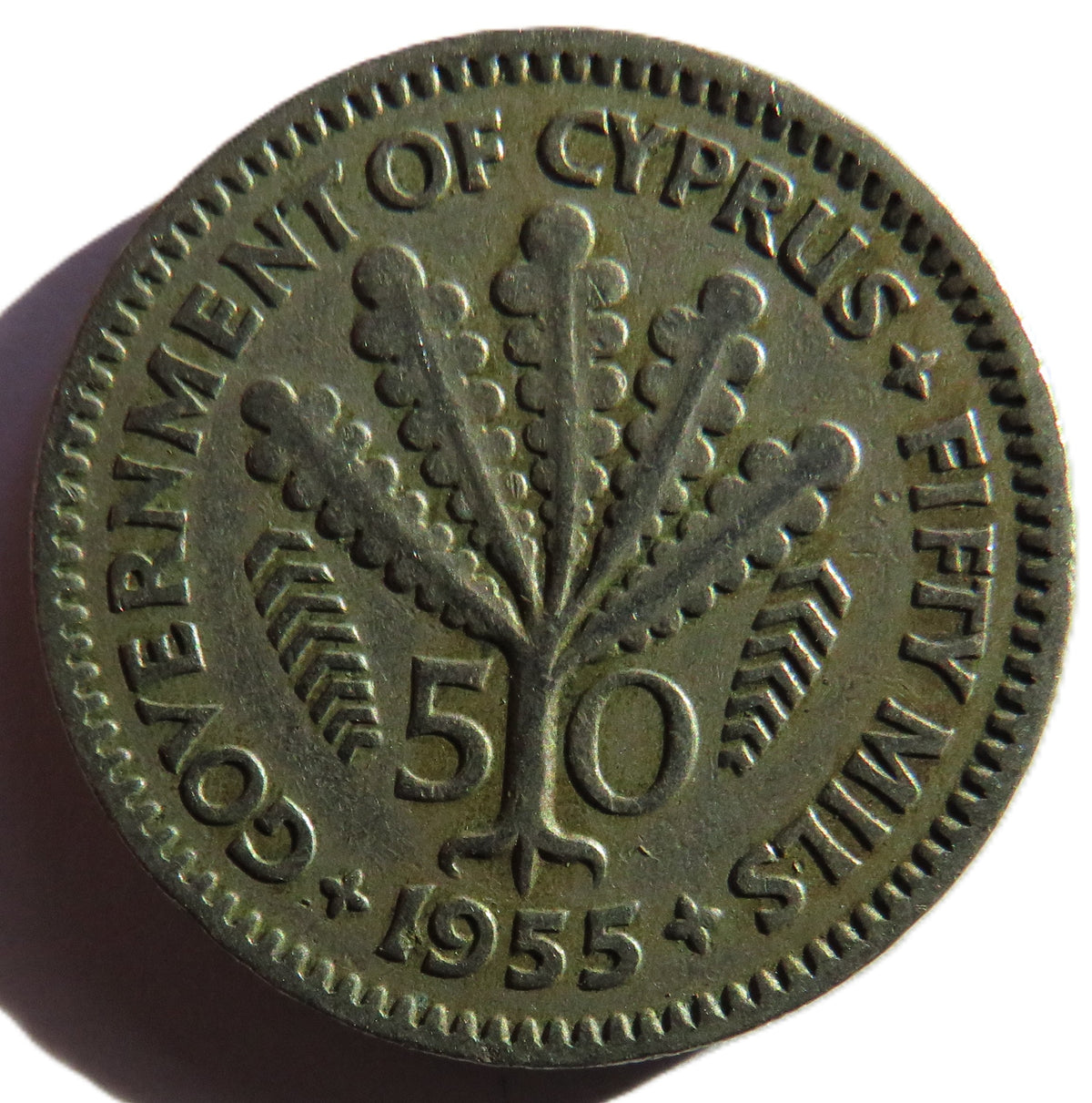 1955 Queen Elizabeth II Cyprus 50 Mils Coin image 2