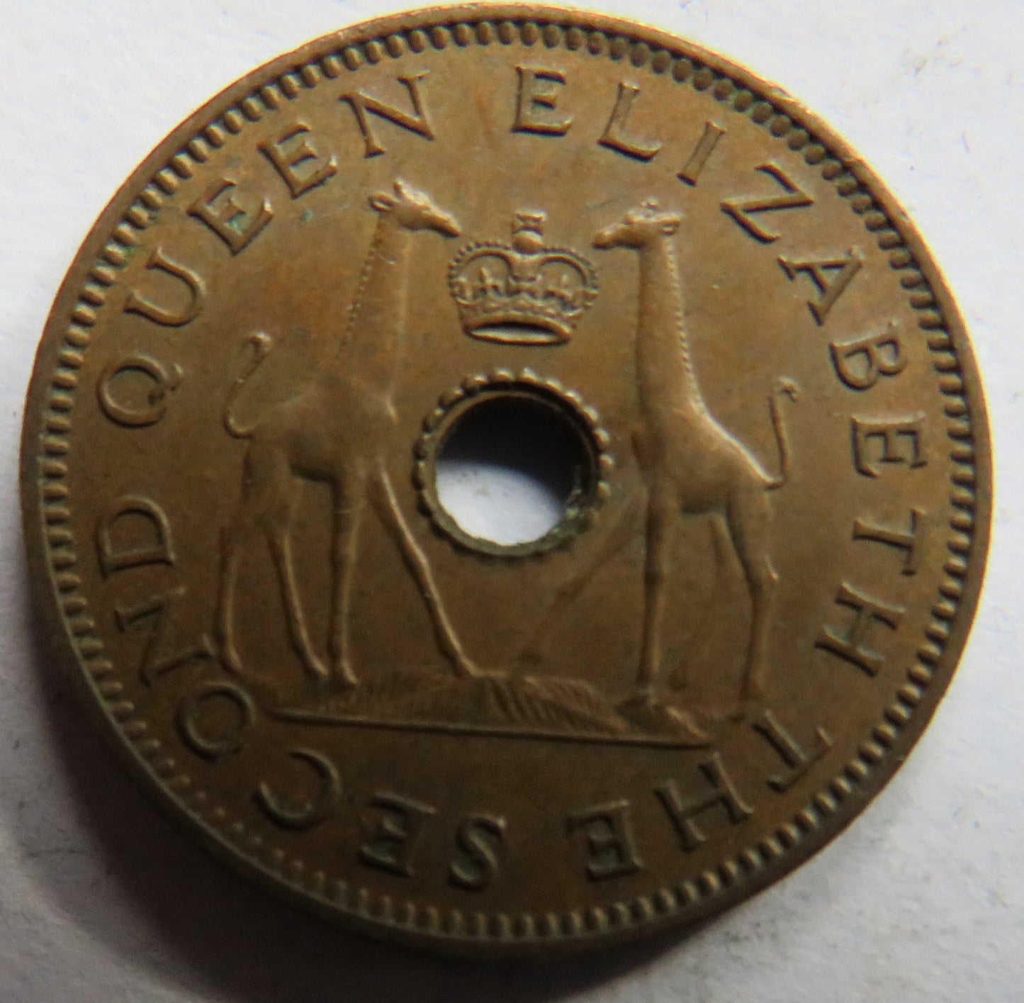 1957 Rhodesia and Nyasaland Half Penny Coin