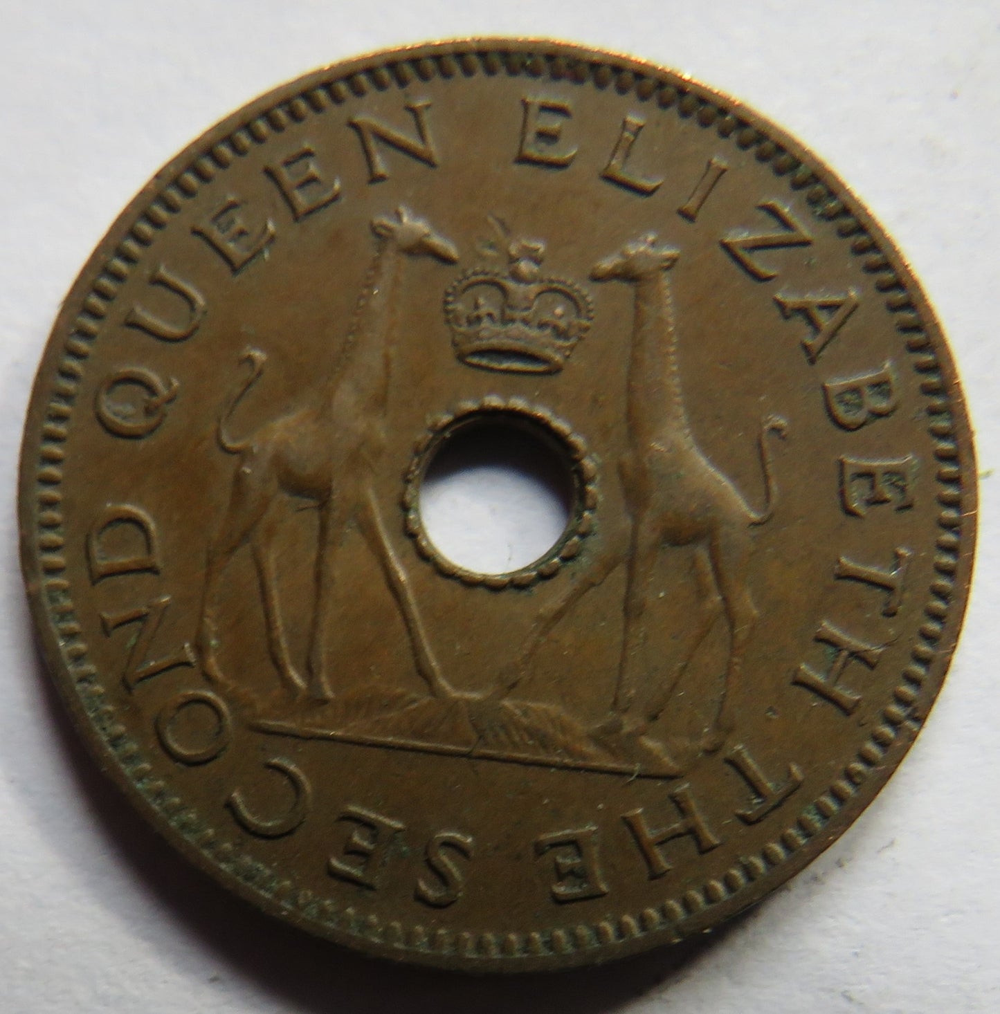 1955 Rhodesia and Nyasaland Half Penny Coin