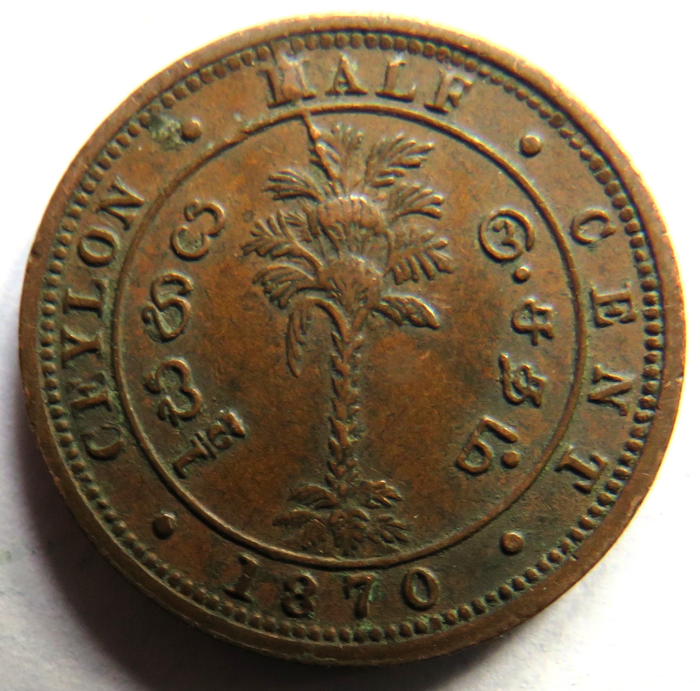 1870 Queen Victoria Ceylon Half Cent Coin