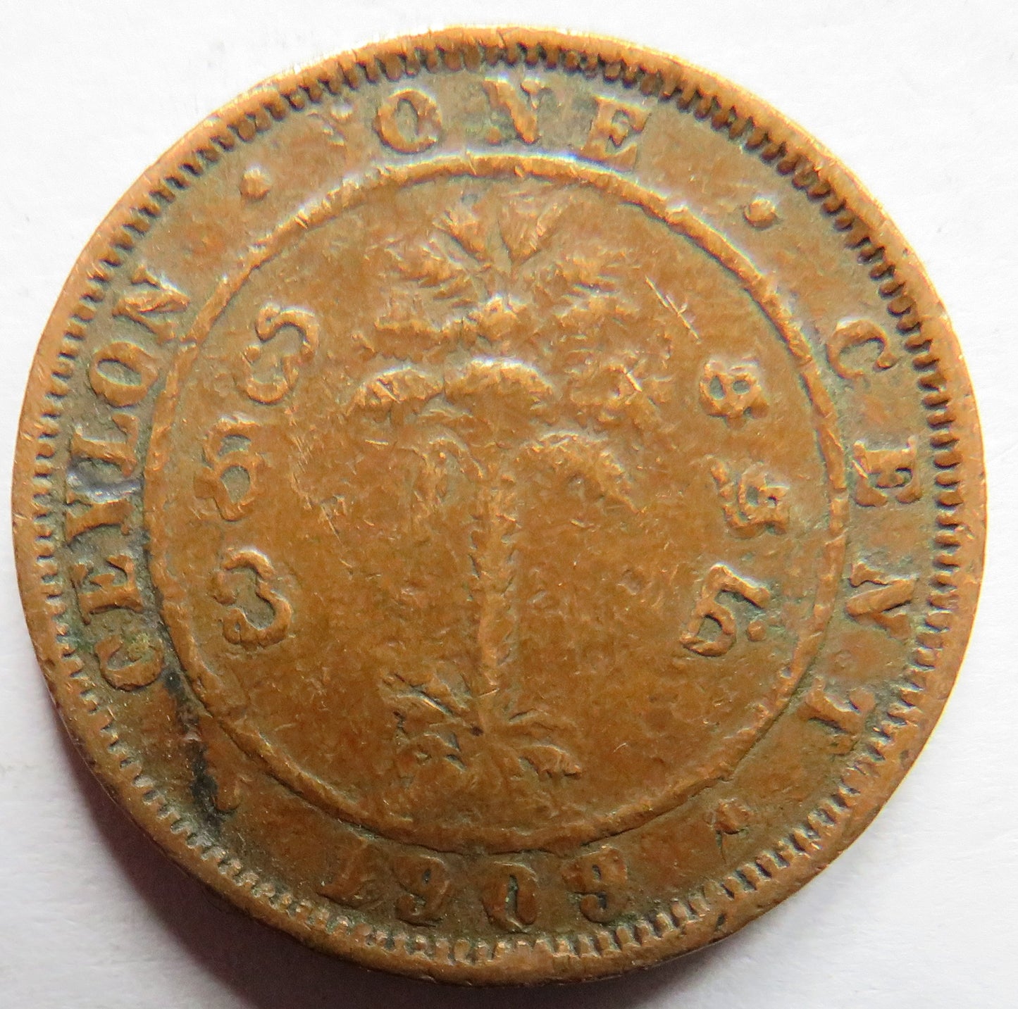 1909 King Edward VII Ceylon One Cent Coin