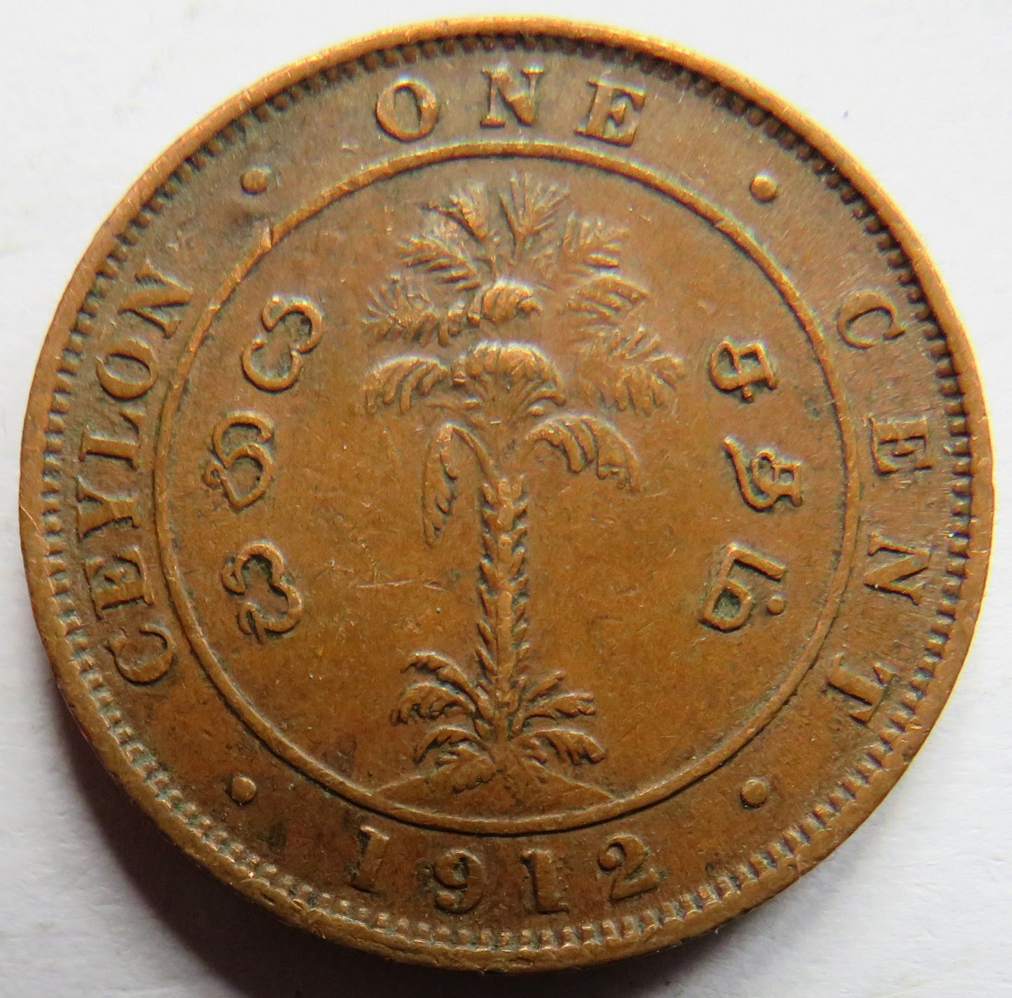1912 King George V Ceylon One Cent Coin