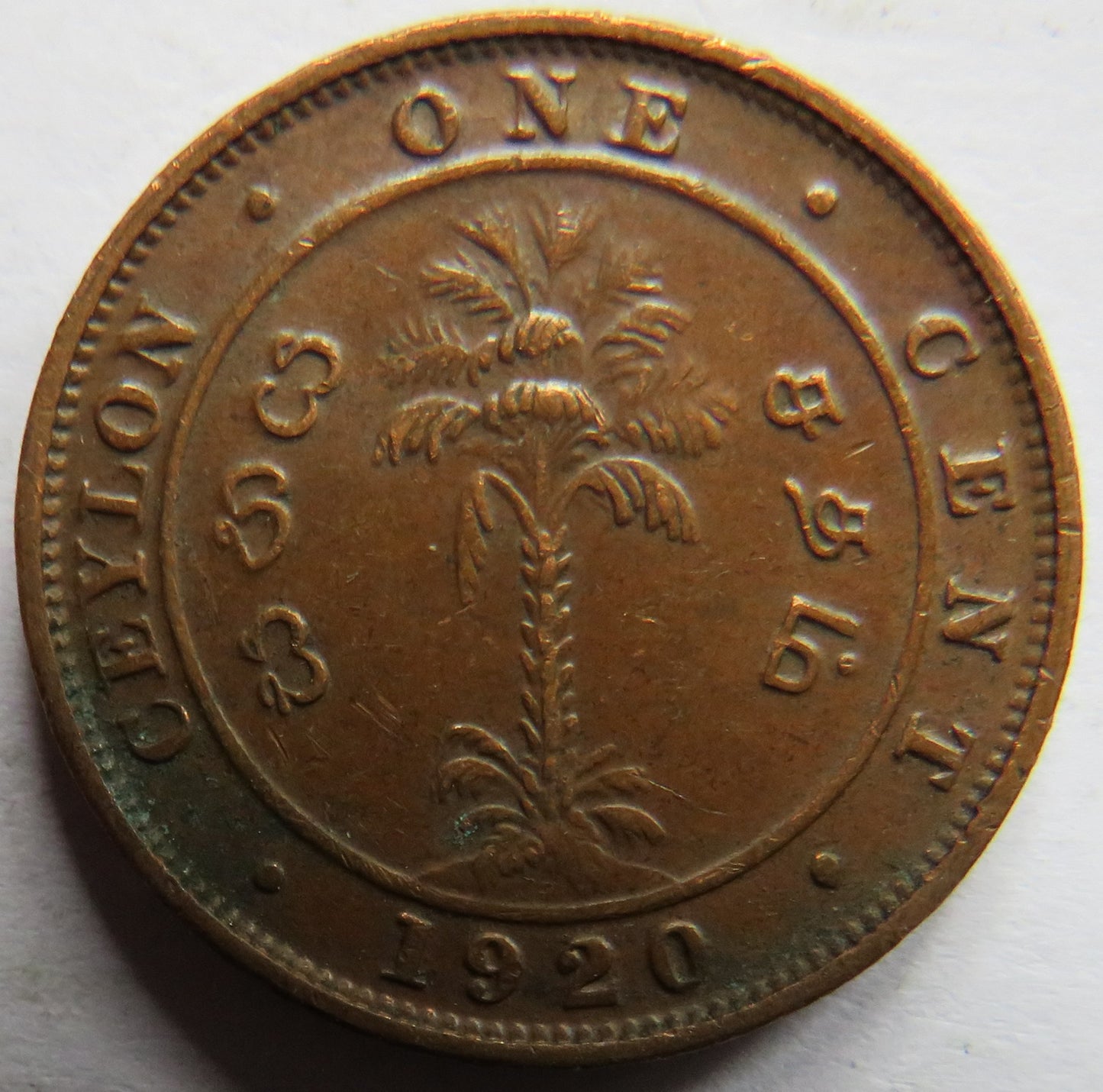 1920 King George V Ceylon One Cent Coin