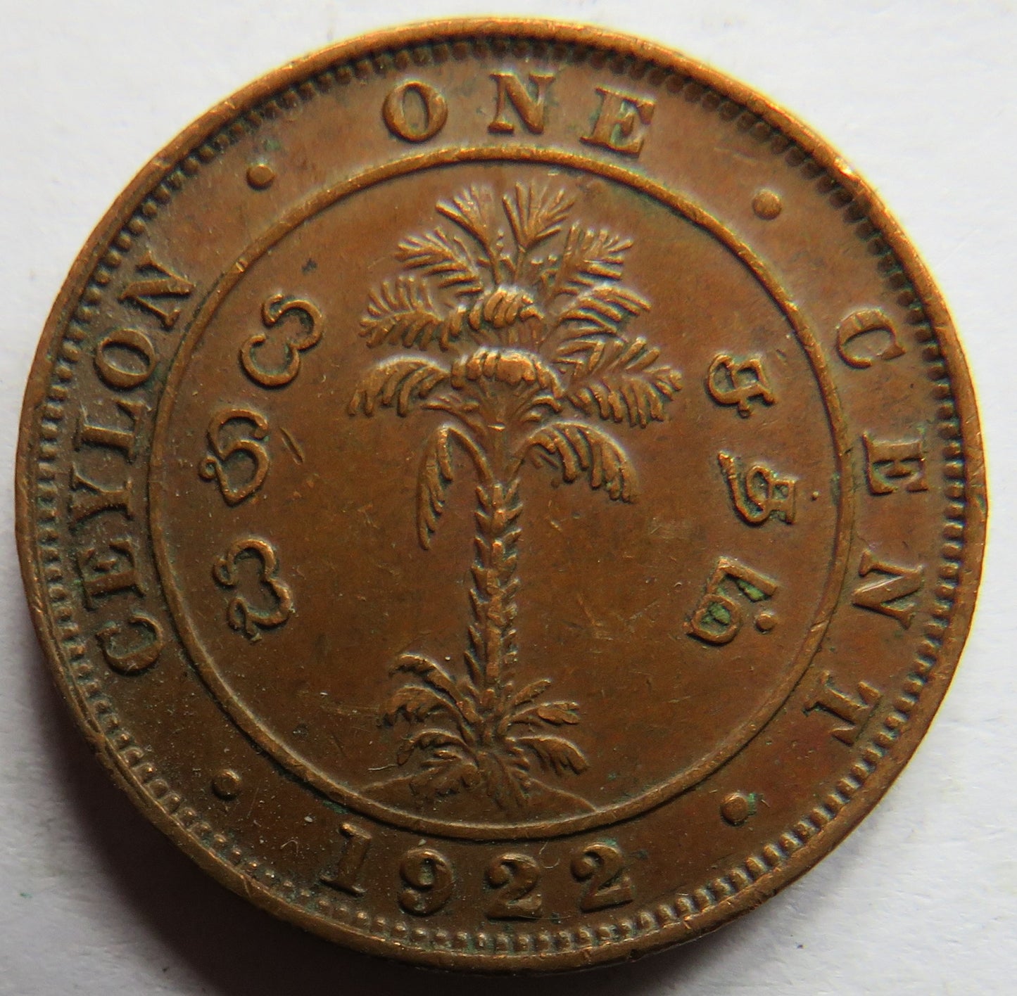 1922 King George V Ceylon One Cent Coin