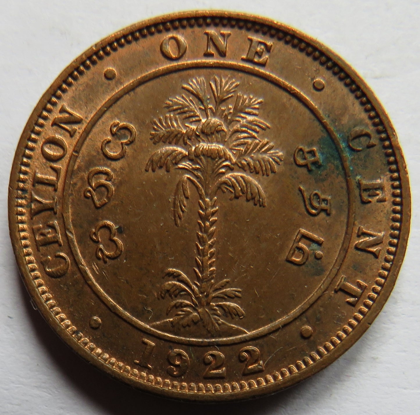 1922 King George V Ceylon One Cent Coin In High Grade