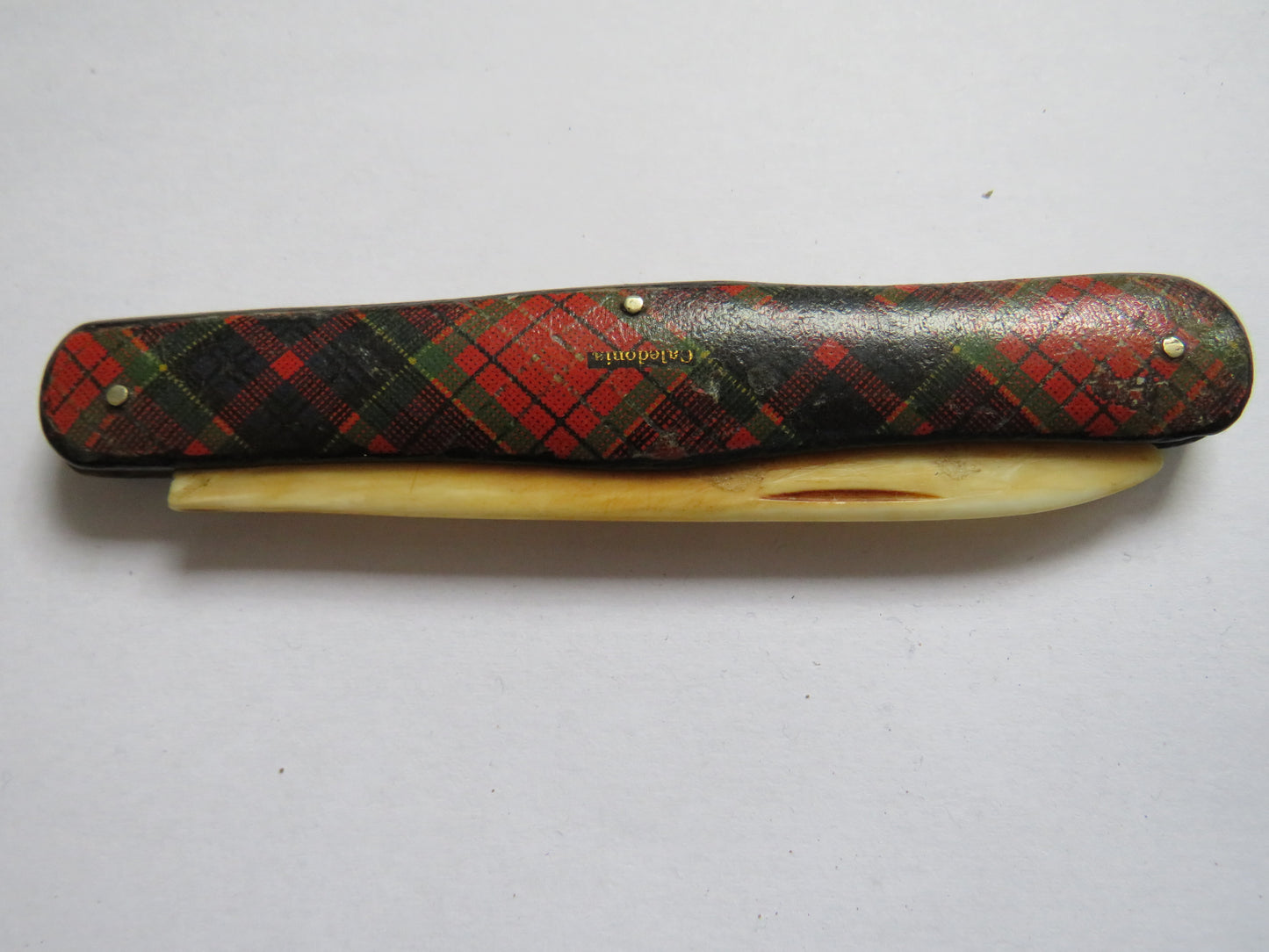 Antique Mauchline Tartan Ware Pen Knife With Bone Handle Caledonia Tartan