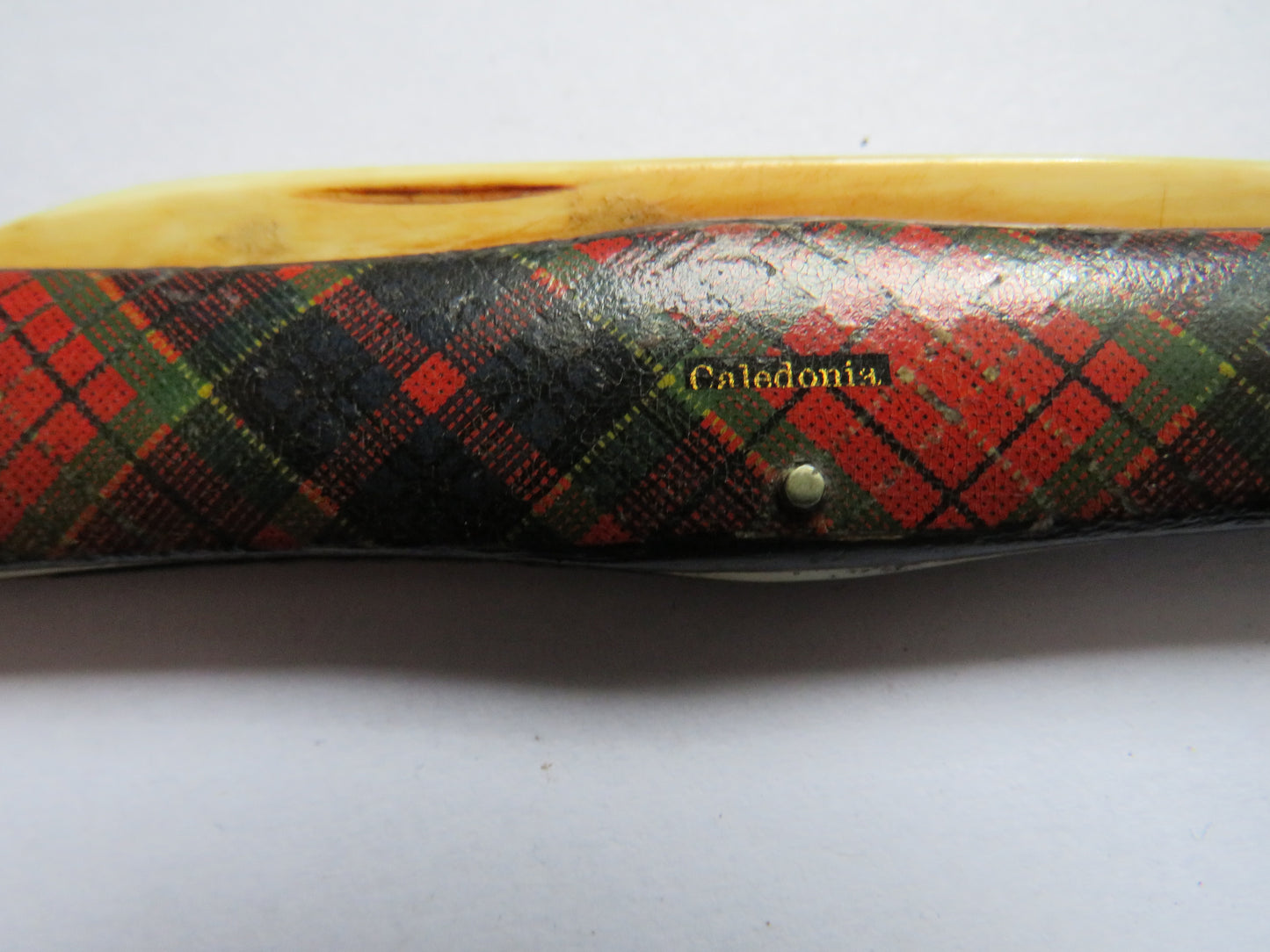 Antique Mauchline Tartan Ware Pen Knife With Bone Handle Caledonia Tartan