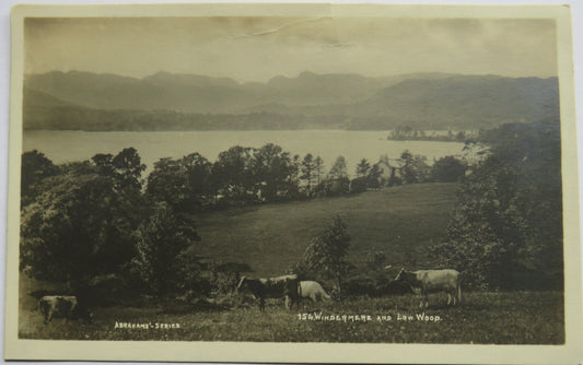 Vintage Postcard of Windemere and Low Woop