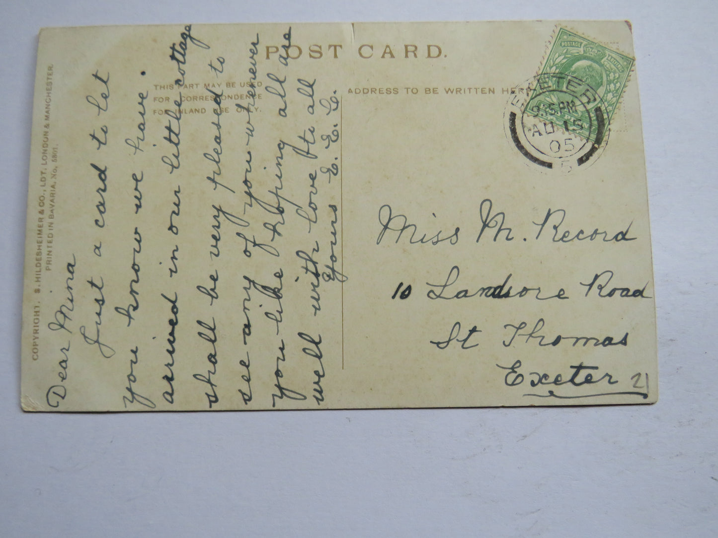 Vintage Postcard of Scotch Firs, Wastdale 1905